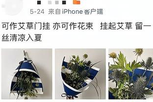 只赢曼城！狼队9月战绩1胜1平3负，平卢顿输伊普斯维奇？